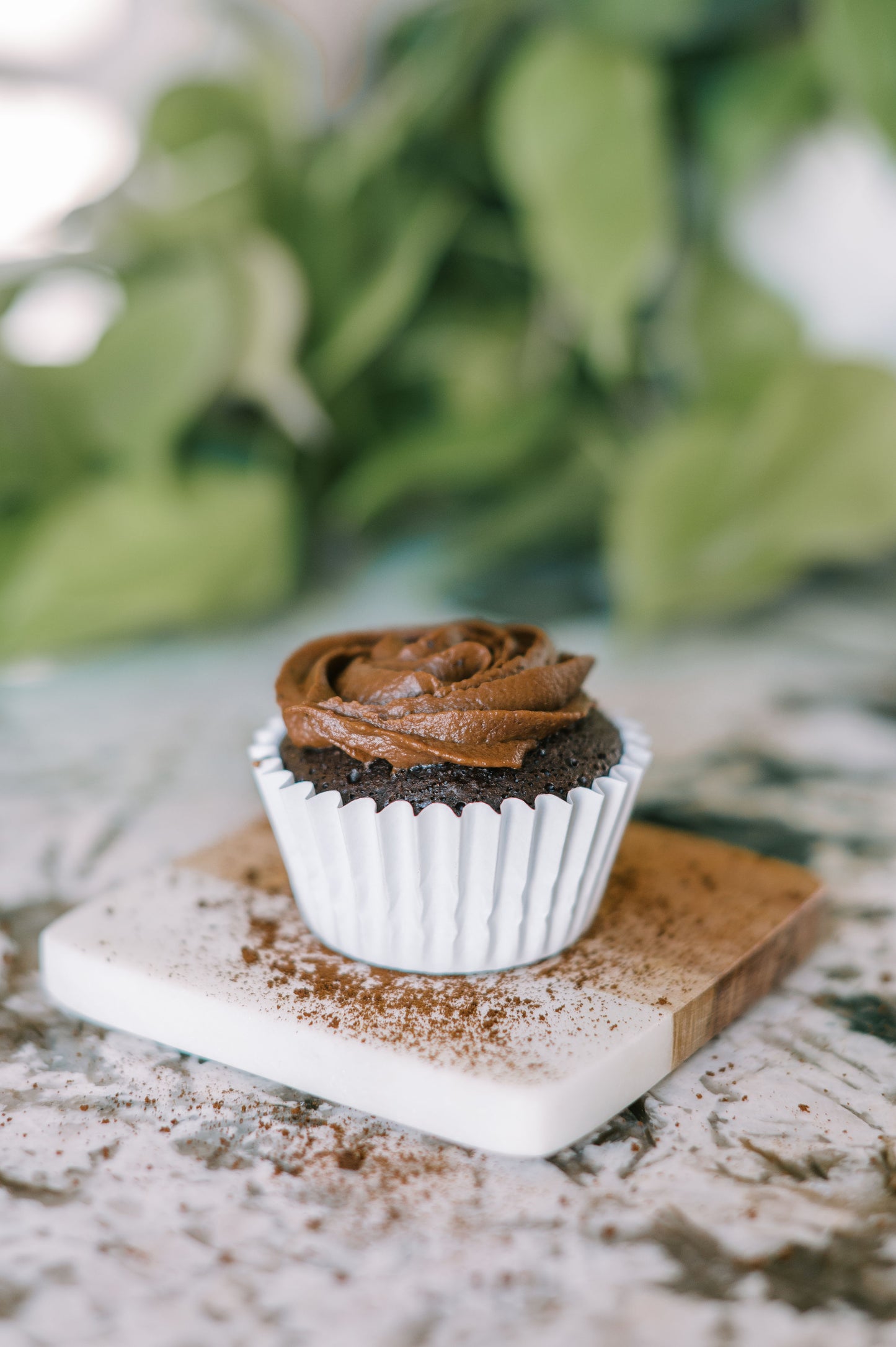 chocolate cupcake